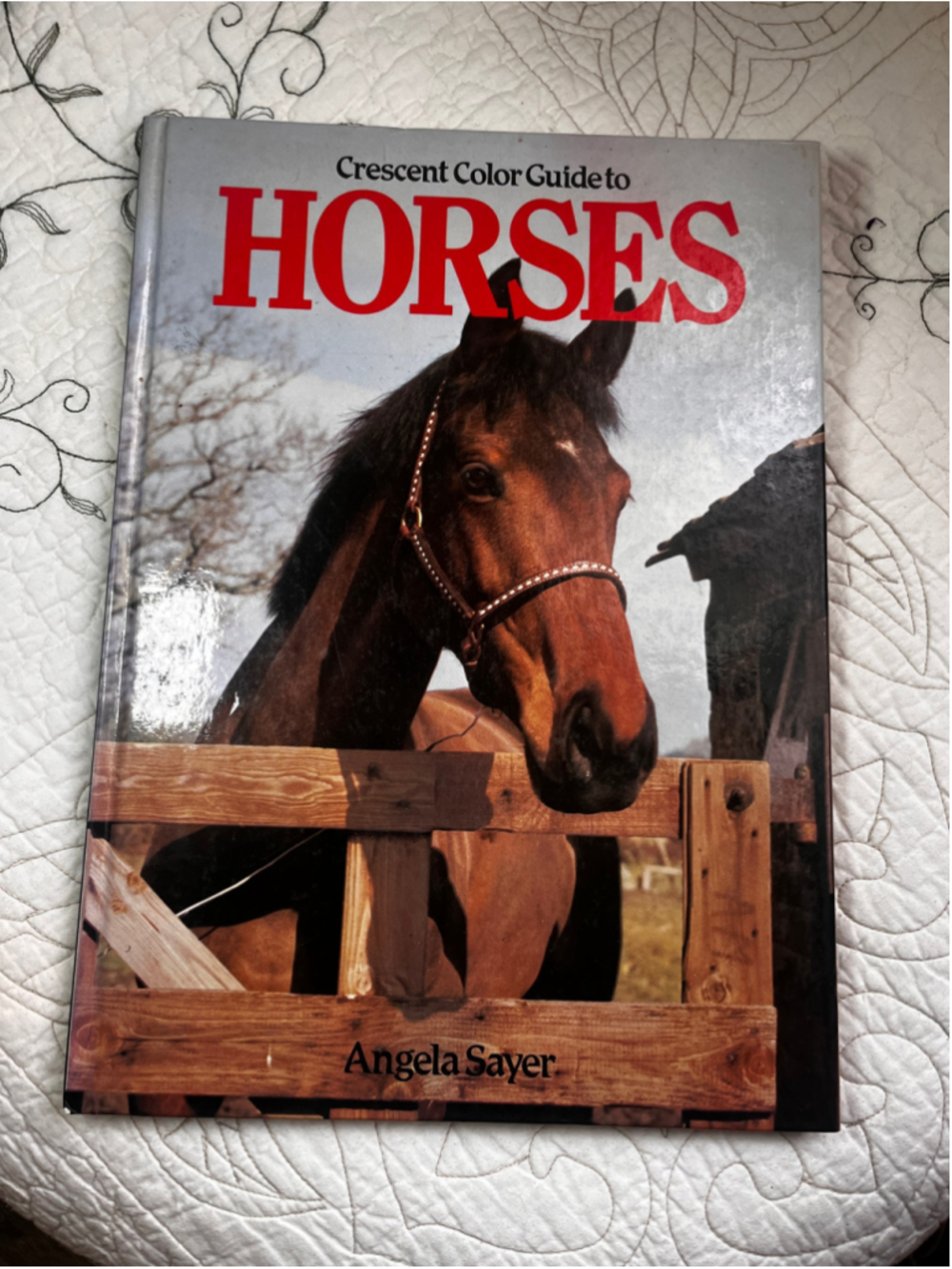 Crescent Books Horses Coffee Table Book One Size Brown Red
